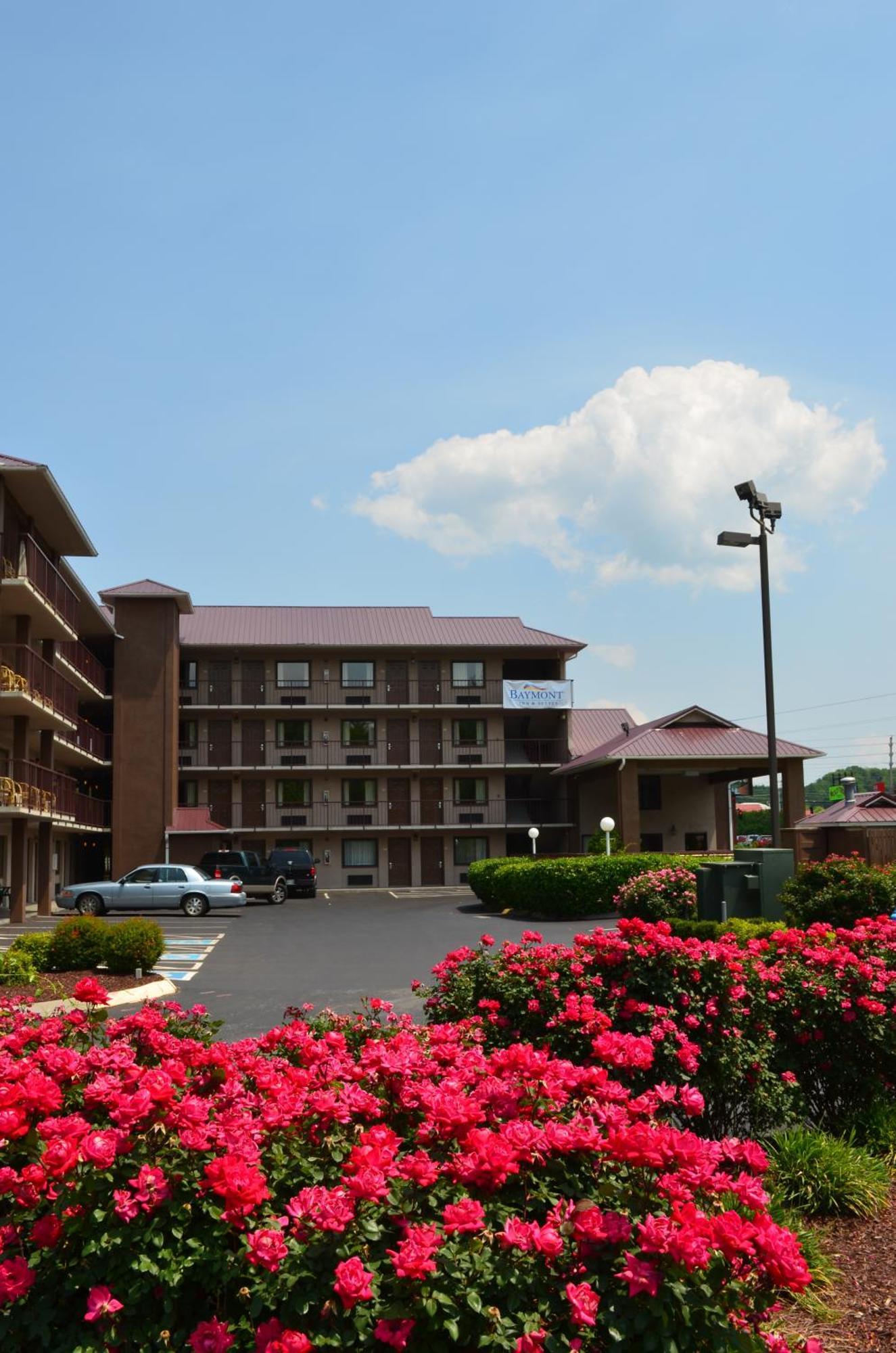 Baymont By Wyndham Pigeon Forge Near Island Drive Ξενοδοχείο Εξωτερικό φωτογραφία